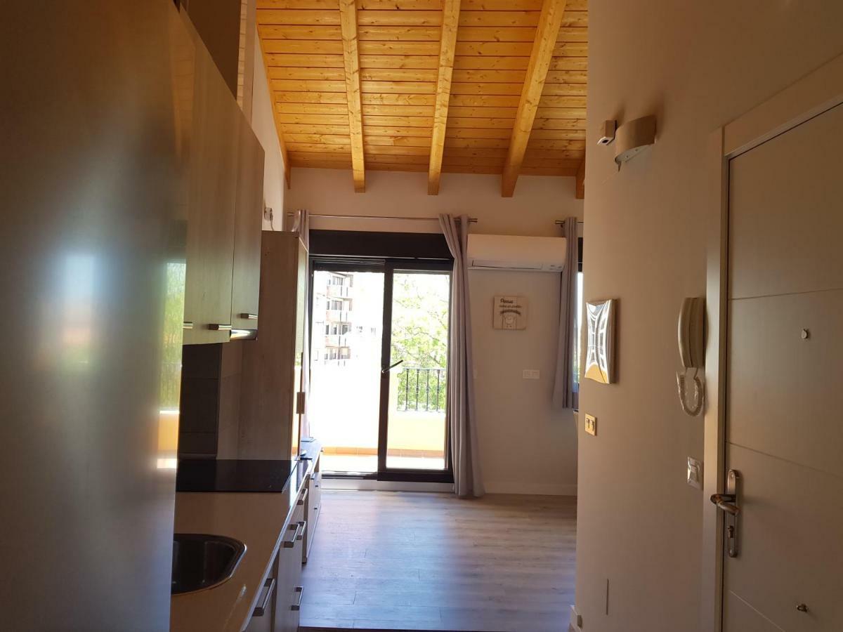 Apartamentos Aranda - Atico Duero アランダ・デ・ドゥエロ エクステリア 写真